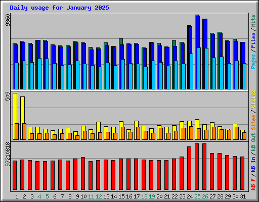 Daily usage for January 2025