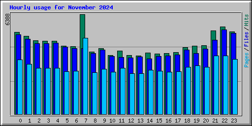 Hourly usage for November 2024