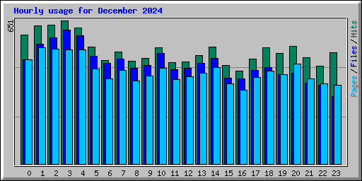 Hourly usage for December 2024