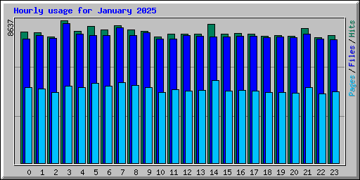 Hourly usage for January 2025