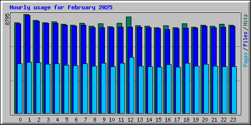 Hourly usage for February 2025