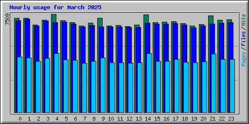 Hourly usage for March 2025