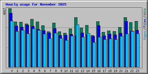Hourly usage for November 2025