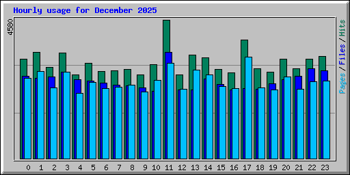 Hourly usage for December 2025