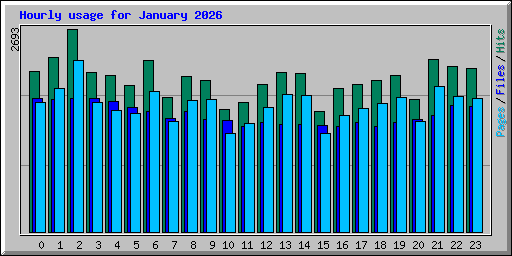 Hourly usage for January 2026