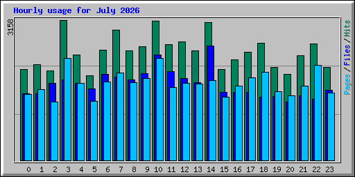 Hourly usage for July 2026